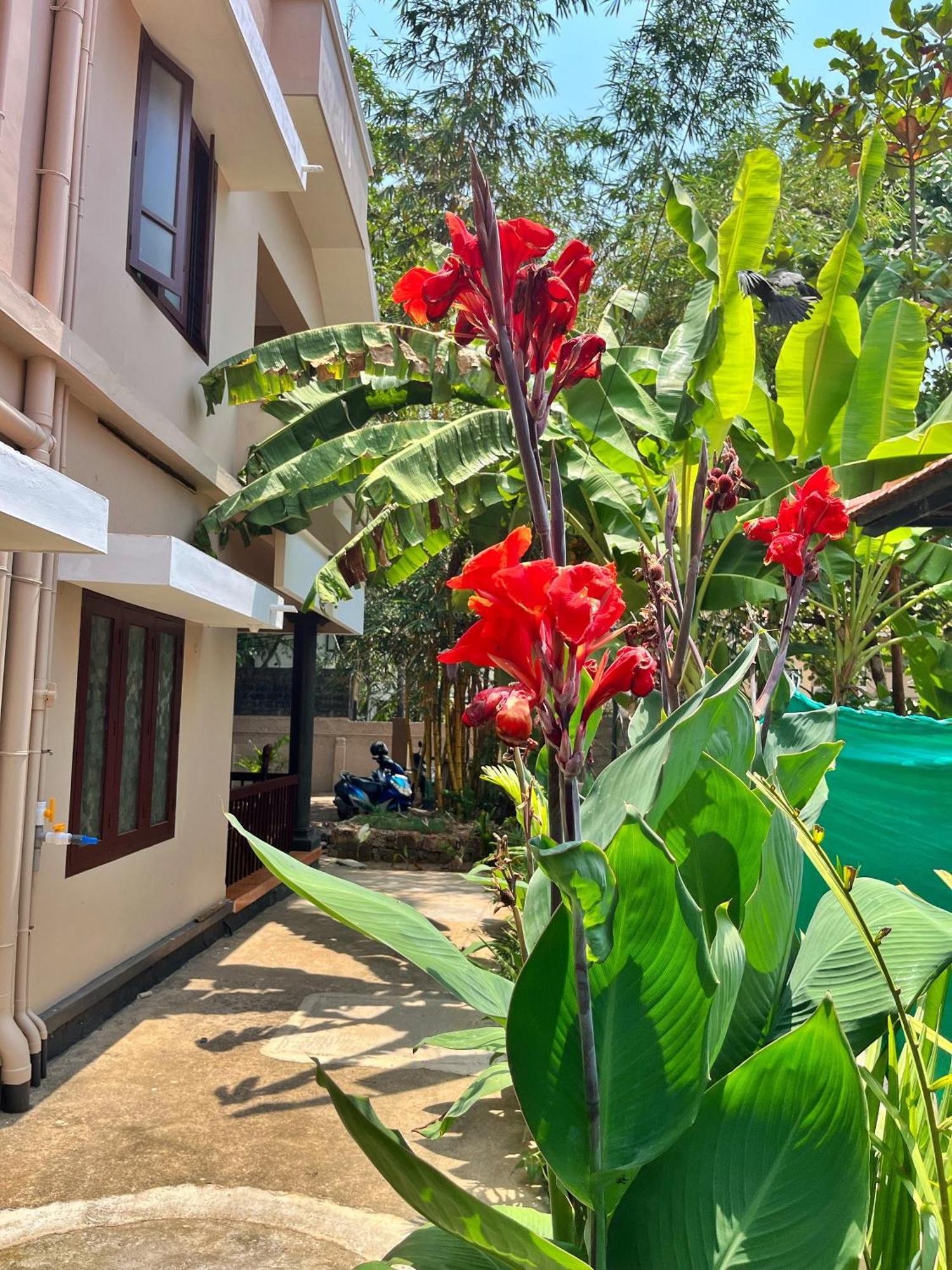 Bava Beach Resort & Retreat Center Varkala Exterior foto